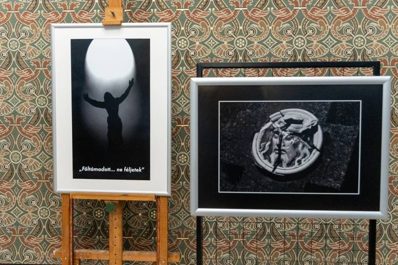 2025_09_07_domotor kiallitas_03.jpg